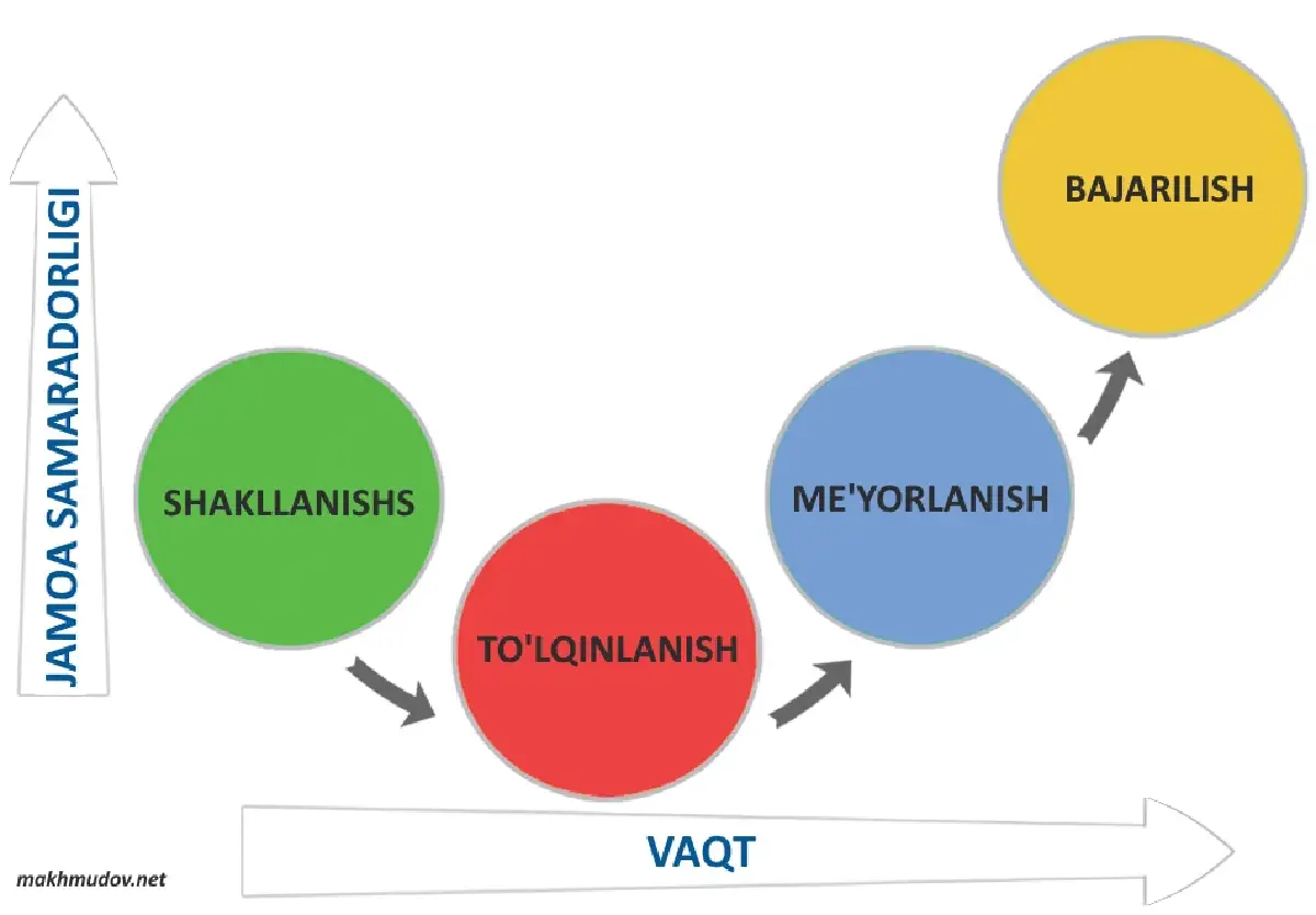 Bruce Tuckmanning Guruh Rivojlanish Bosqichlari